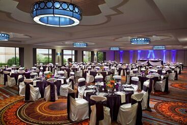 Отель Hilton Palacio Del Rio