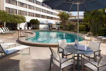 هتل Hilton Tampa Airport Westshore