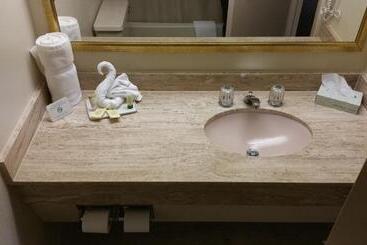 Imperial Swan Hotel And Suites Lakeland