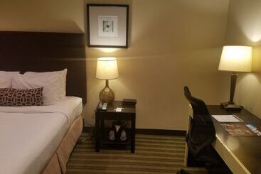 هتل Inn Of Chicago