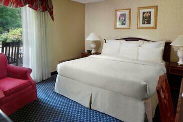호텔 The Inn at Stone Mountain Park