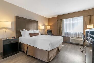 هتل Best Western Inn Of Vancouver