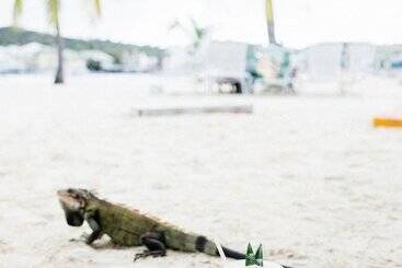 هتل On The Cay