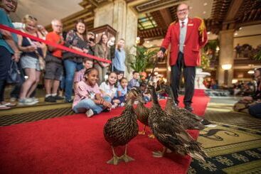 هتل Peabody Memphis