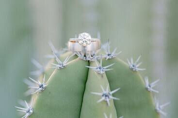 هتل The Phoenician, A Luxury Collection Resort, Scottsdale