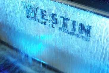 هتل The Westin O'hare