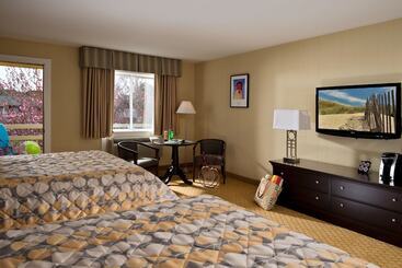 Wellfleet Motel And Lodge