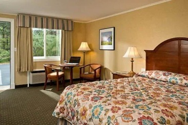 Wellfleet Motel And Lodge