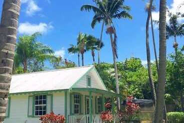 هتل Cobblers Cove  Barbados