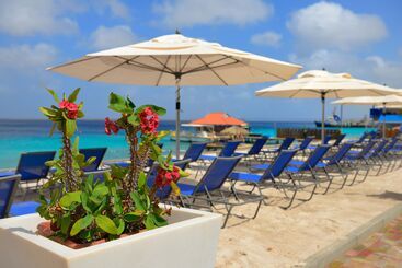 Divi Flamingo Beach Resort