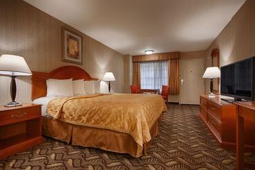 Best Western Airport Plaza Inn Hotel   Los Angeles Lax
