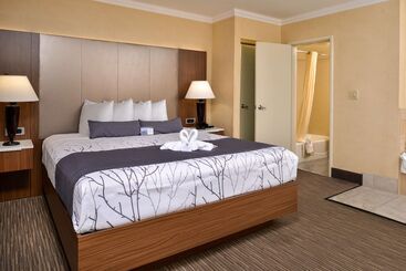 Best Western Hollywood Plaza Inn Hotel   Hollywood Walk Of Fame La
