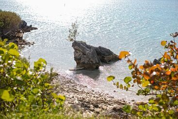هتل Cambridge Beaches Resort And Spa