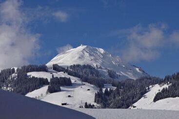هتل Alpenhof Brixen