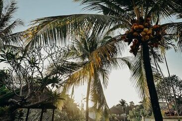 Pertiwi Resort & Spa