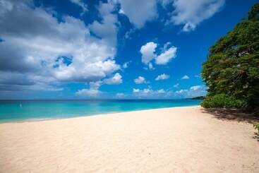 Crystal Cove By Elegant Hotels   All Inclusive