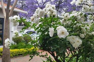 هتل Rosebank Lodge Guesthouse By Claires