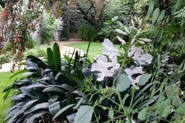 هتل Rosebank Lodge Guesthouse By Claires