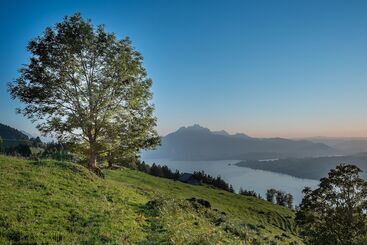 هتل Central Luzern