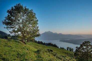 هتل Central Luzern