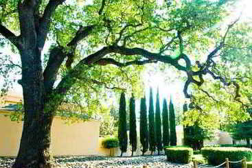 هتل Courtyard Sacramento Airport Natomas