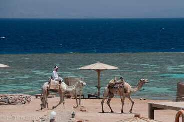 هتل Daniela Diving Resort Dahab
