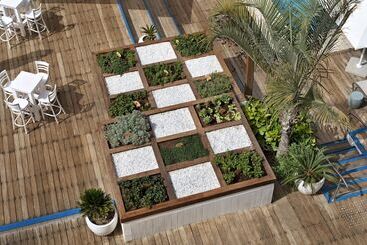 Herbert Samuel The Reef Eilat - Eilat