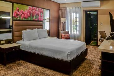 هتل Hilton Garden Inn Guatemala City