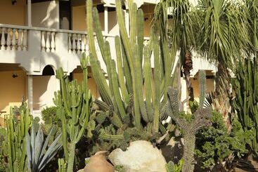 Bucuti & Tara Boutique Beach Resort  Adult Only