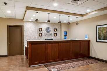 هتل Comfort Inn & Suites At Copeland Tower