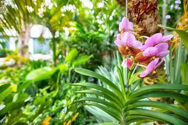 هتل The Gardens