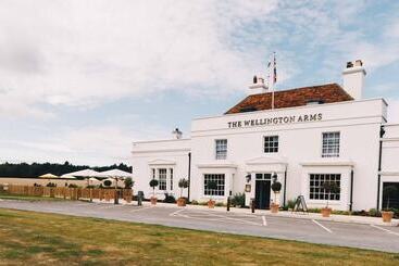 هتل The Wellington Arms