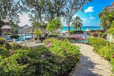 Bougainvillea Barbados - Christchurch