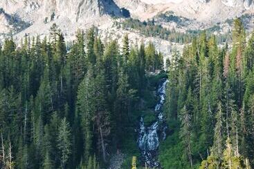 استراحتگاه Tamarack Lodge