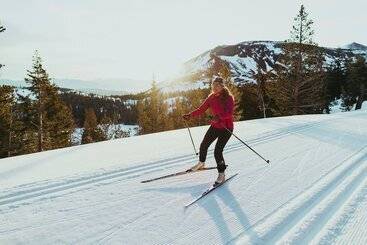 استراحتگاه Tamarack Lodge