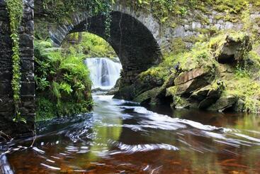 هتل Killarney Randles