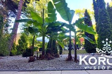 هتل Korona