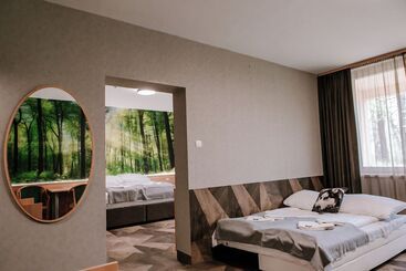 Park Hotel Sóstó