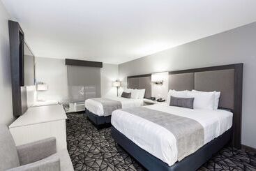 酒店 Best Western Morton Inn