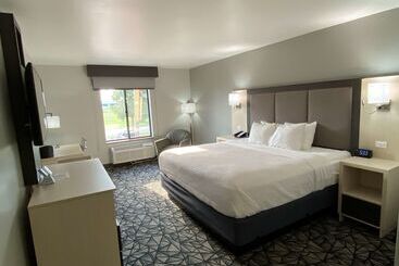 酒店 Best Western Morton Inn