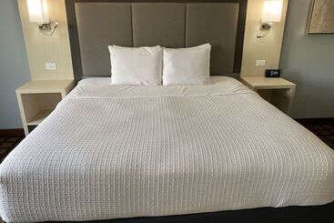 酒店 Best Western Morton Inn