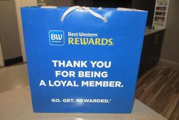 酒店 Best Western Morton Inn