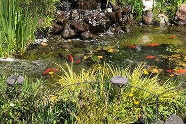 هتل Best Western The Inn & Suites Pacific Grove