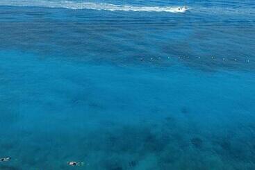 Coral Princess Hotel & Dive Resort