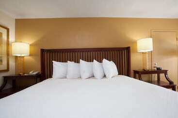 هتل Days Inn By Wyndham Daytona Beach Speedway