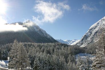 ホテル Saratz Pontresina
