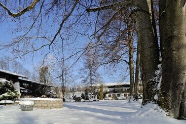 Stoll S Hotel Alpina