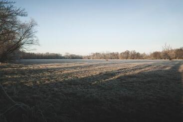 Waldhotel Eiche