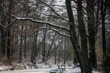 Waldhotel Eiche