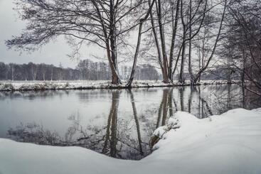 Waldhotel Eiche